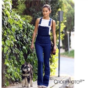 Chic Coachella flare Overalls